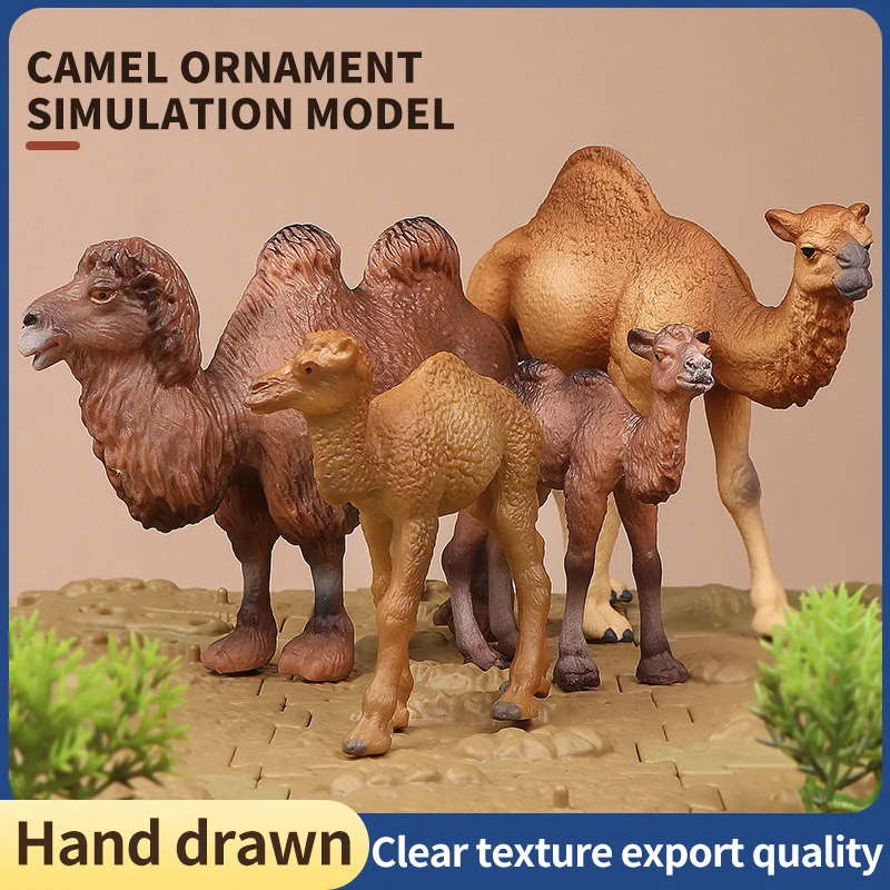 새로운 야생동물 세계 고체 시뮬레이션 낙타 동물 모델 세트 교육용 액션 피규어 장난감 어린이용