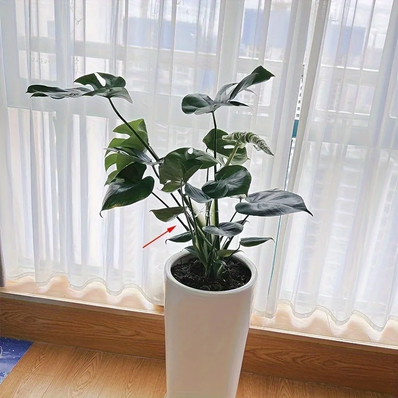 4pcs Adjustable Transparent Plant Support - Clips for Secure & Upright Growth of Garden Flowers & Stems with Green Vine Trellis view 2