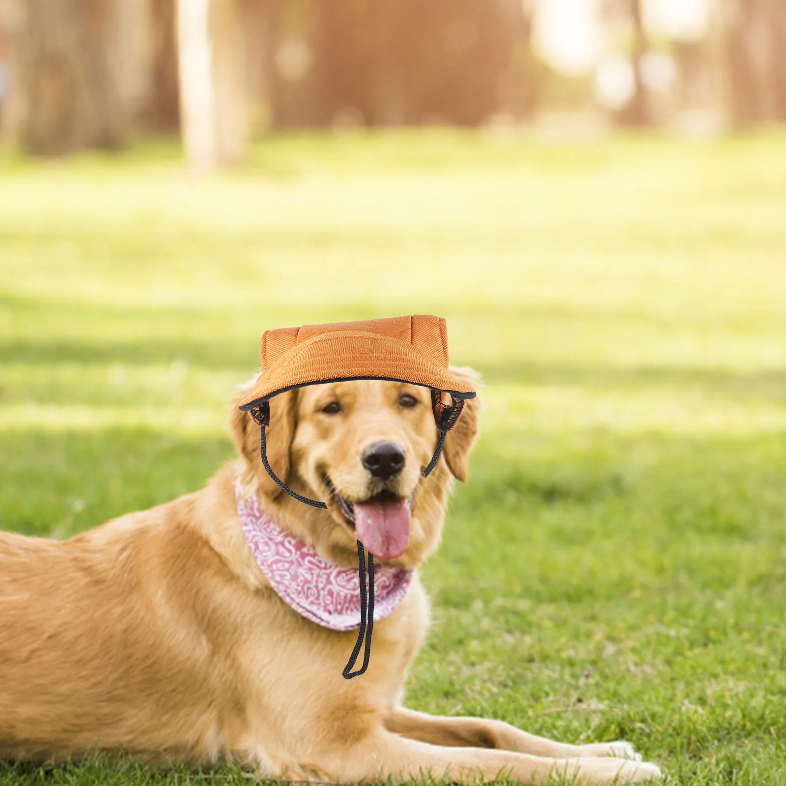 

Pet Baseball Cap Caps Hats for Small Dogs Outdoor Puppy Headwear Canvas Sun Cute