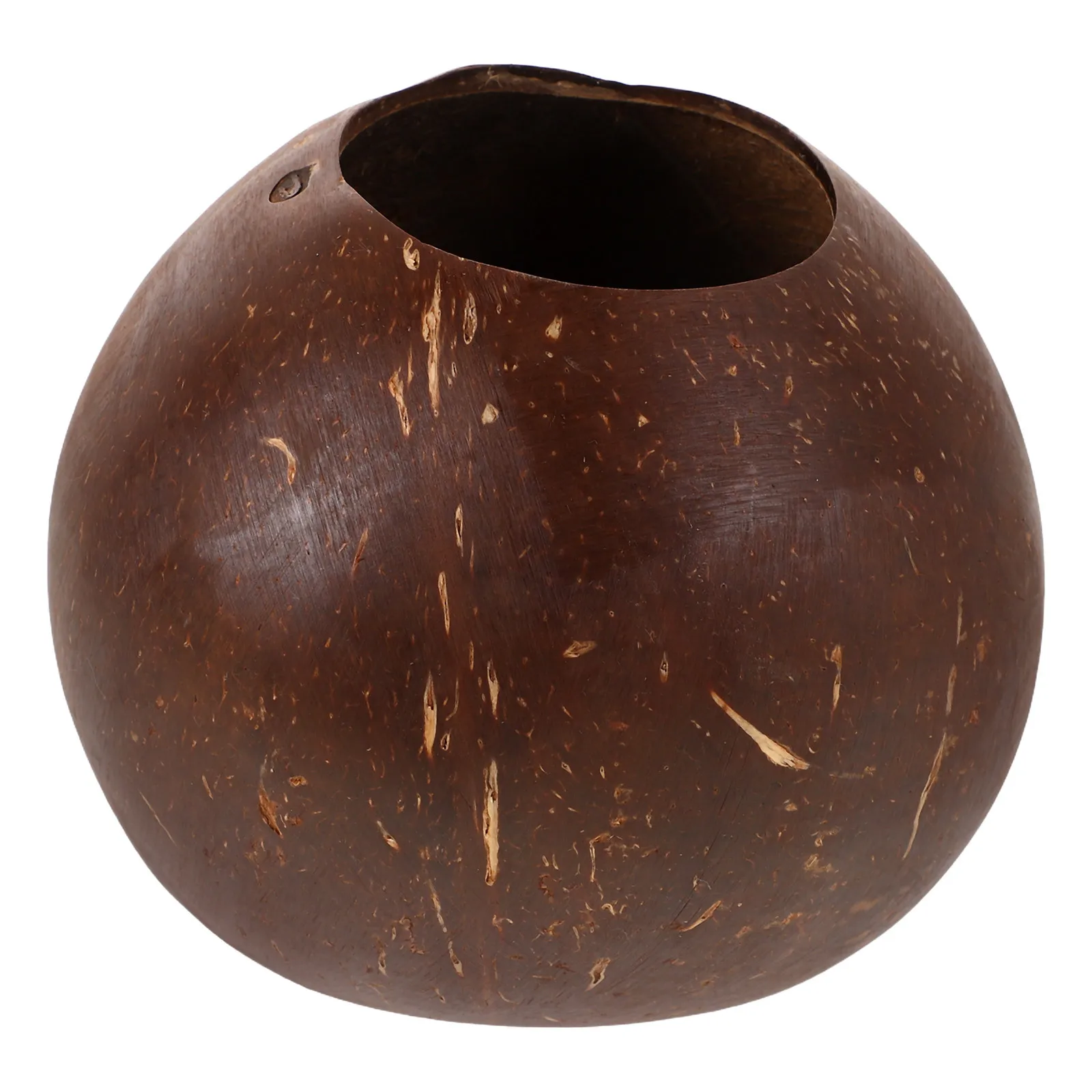 

Natural Coconut Shell Planter Pot Rustic Succulent Planting Ideal for Kindergarten DIY Creative Flower Pot Gardening Accessories