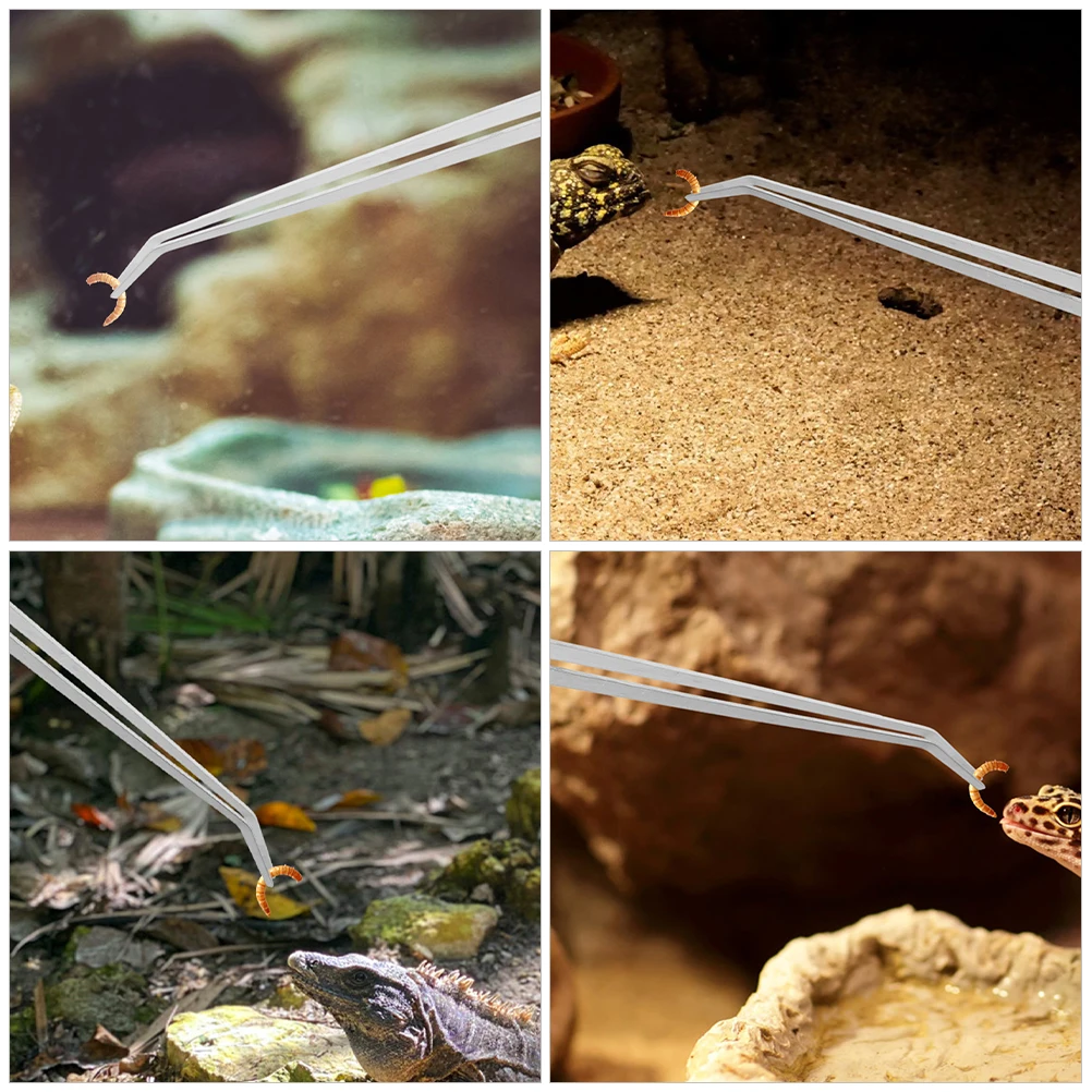 

2pcs Reptile Feeding Tongs 38cm Straight Curved Heads Long Tweezers Terrarium Aquarium Pet Supplies Feeding Tools