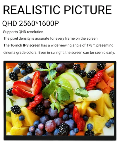 Imagen 2 del producto ZSUS 16 ""2K Monitor portátil 100% sRGB 1600P pantalla IPS pantalla de ordenador de juegos de viaje para Steam Deck Laptop Switch PS4 PS5 Xbox