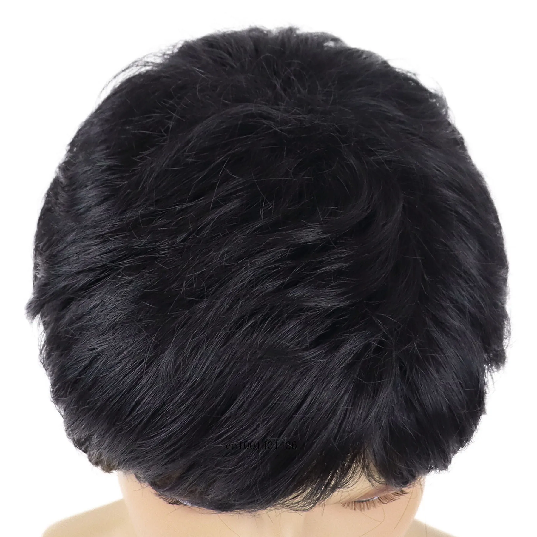 Synthetic Hair Black Color Short Wigs for Asain Men Natural Haircuts Cosplay Wig with Bangs Straight Costume Carnival Party Wigs