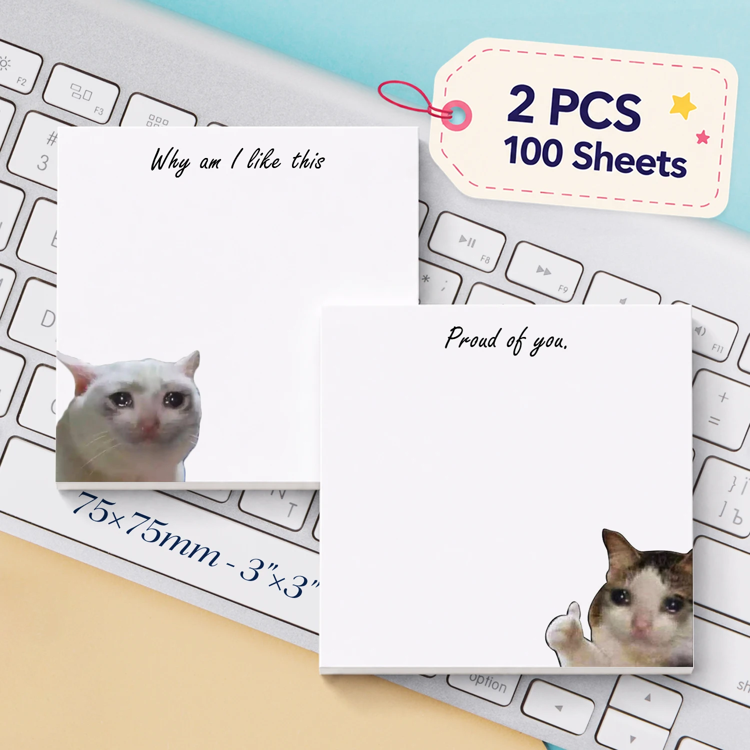 2PCS Funny Crying Cat Self Adhesive Sticky Notes 100 Sheets Meme Humor Positive Message Memo Pads Office Stationery