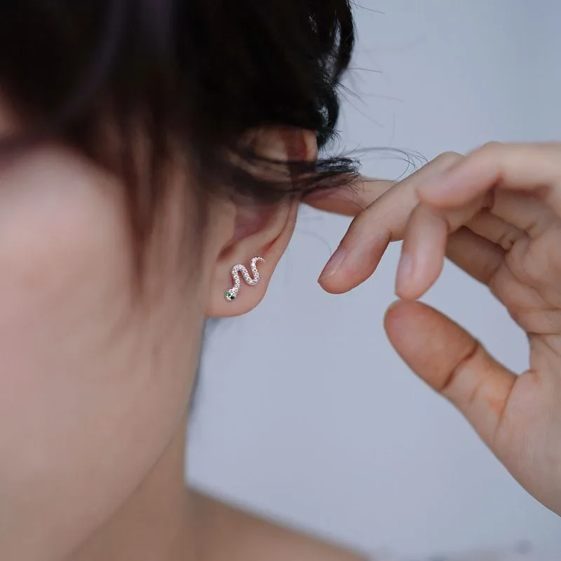 : Boucles d'oreilles