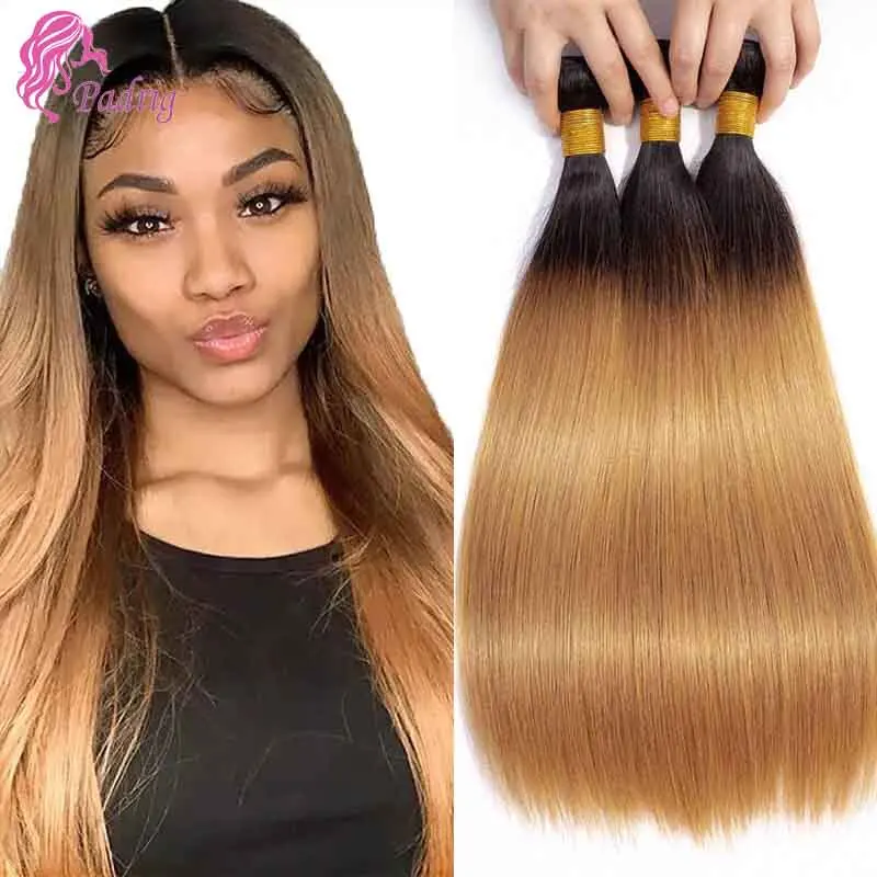 Mèches Naturelles Lisses Blond Ombré 1B/27, Extensions de Cheveux Vierges à Double Trame 12-26 Pouces, 100g/Pièce