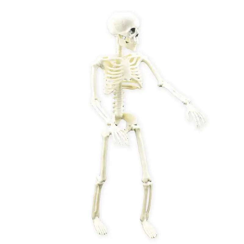 

40cm Durable Simulation Humans Skeleton Movable Ornament Halloween Party Bar Haunted House Props Home Decoration Dropshipping