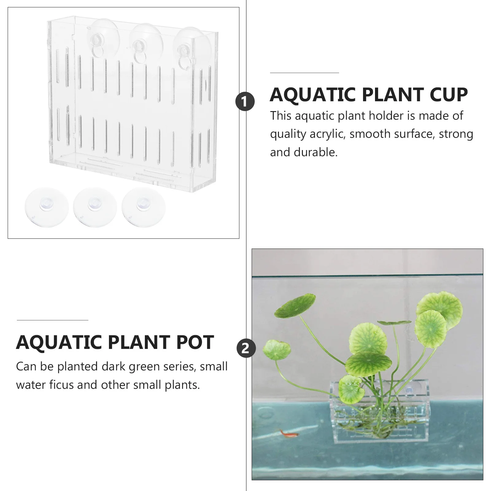 

Aquatic Plant Cup Transparent Acrylic Durable with Double Suction Cups Fish Tank Frame Holder for Aquatic Plants