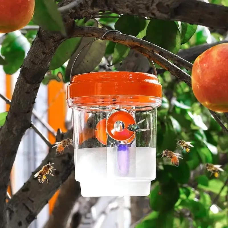 Clear Plastic Outdoor Insect Trap With Lid - Effective For Catching Fruit Flies, Wasps, Transparent Design For Easy Monitoring