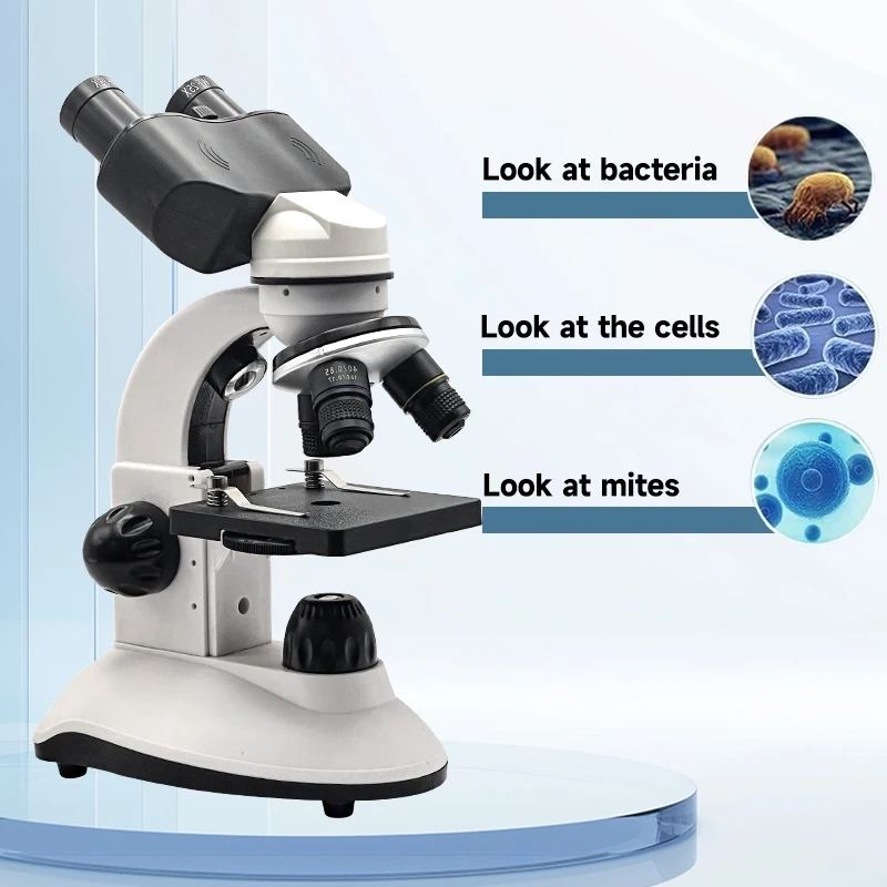 40X-1280X Compound Binocular Microscope, Dual LED with USB Camera, Slides, Phone Mount & Specimen Kit