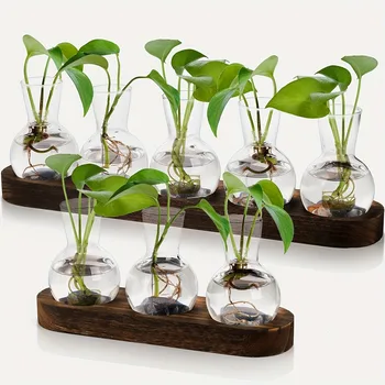 Plant Terrarium Glass Vase Modern Transparent with Wooden Tray, Hydroponics Propagation…