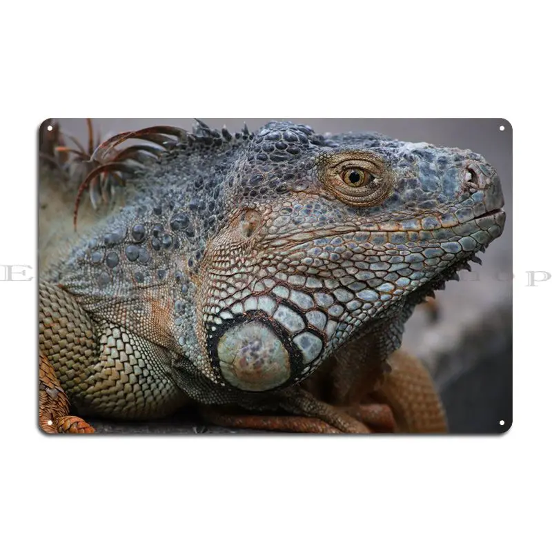 Iguana Metal Plaque Poster Wall Decor Garage Bar Iron Classic Tin Sign Poster