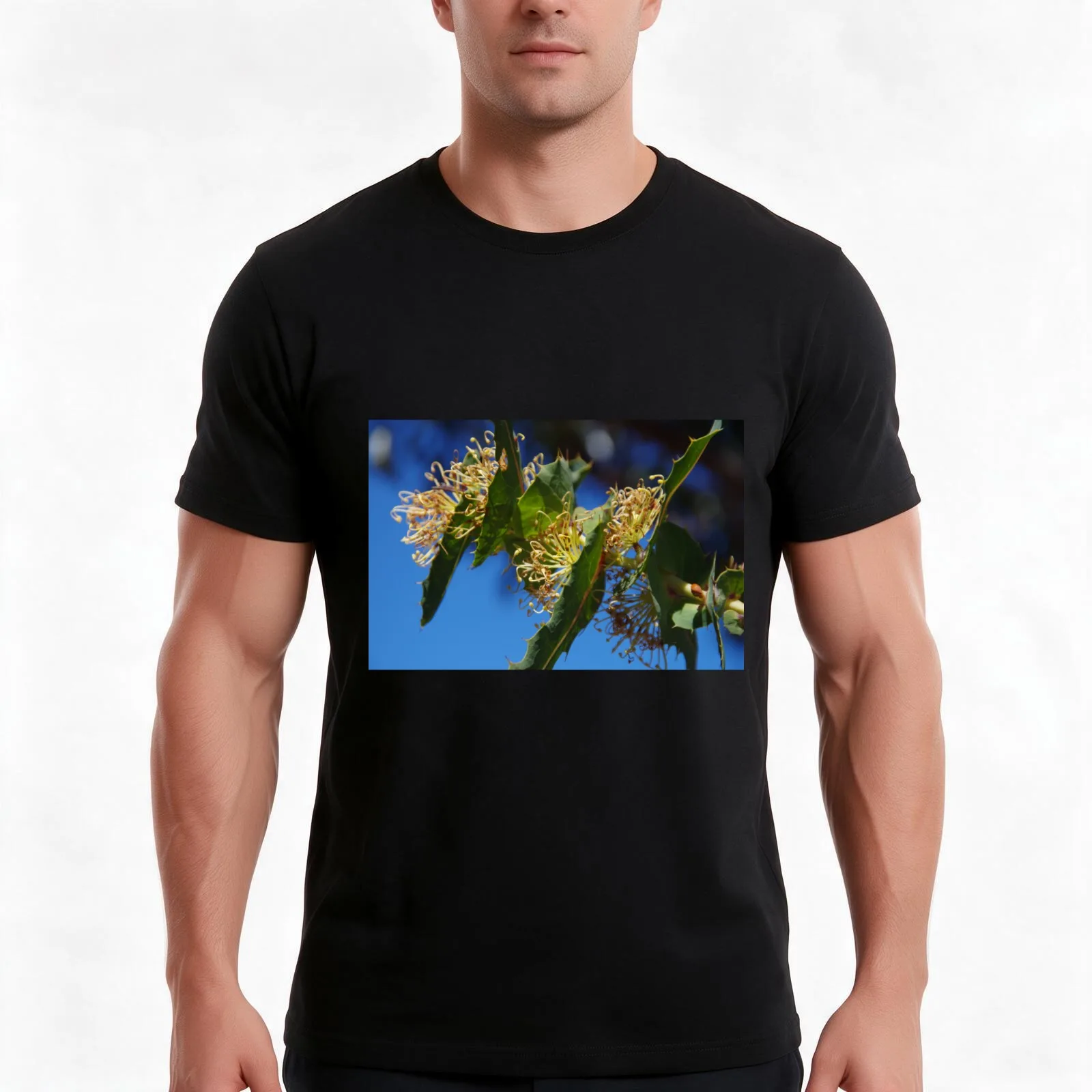 Prickly Hakea T-Shirt Summer Casual Cotton Tee Oversized Streetwear Tops Vintage Graphic Print Loose Fit Short Sleeve