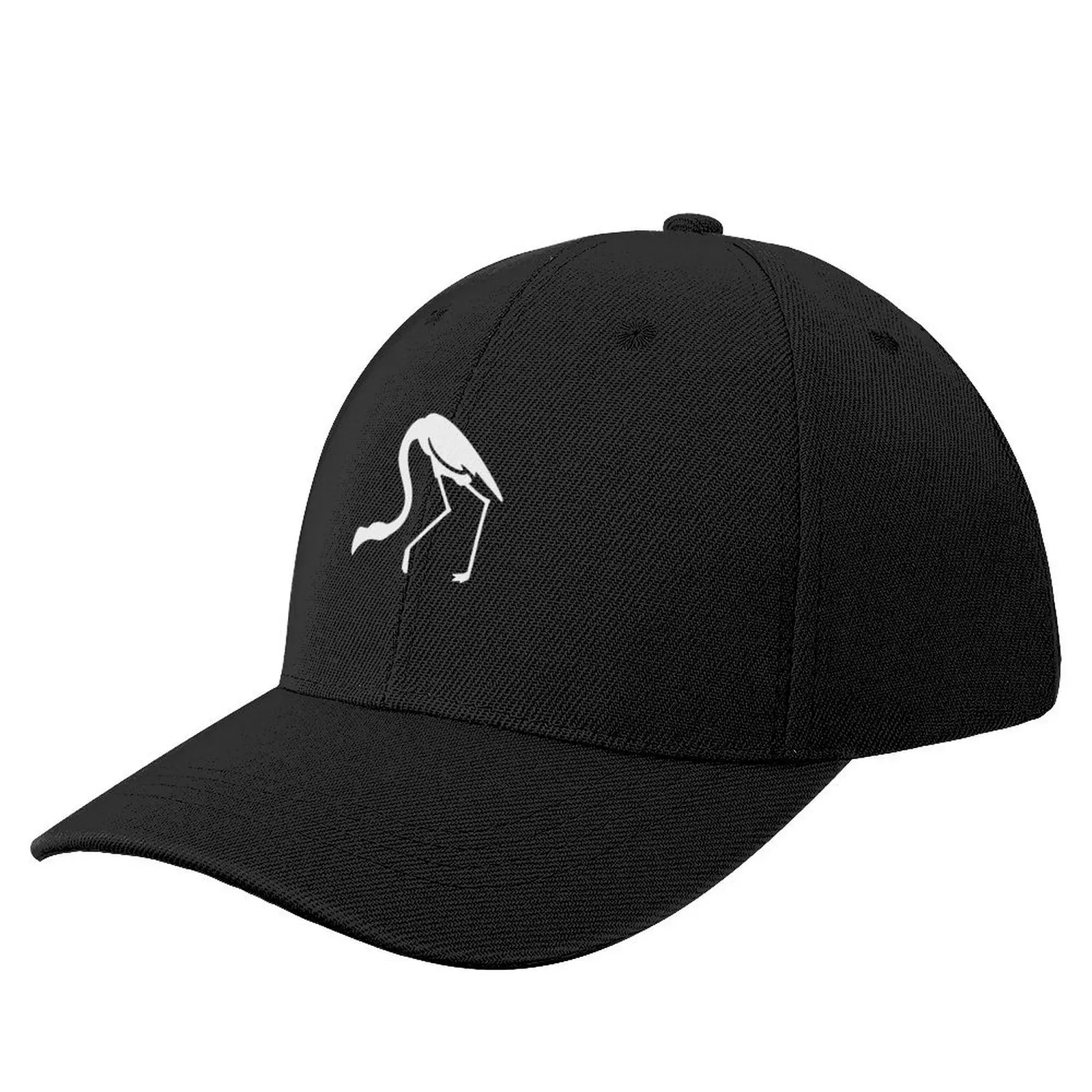 

Not Sus Flamingo White Baseball Cap derby hat Big Size Hat Snapback Cap black Caps For Women Men's