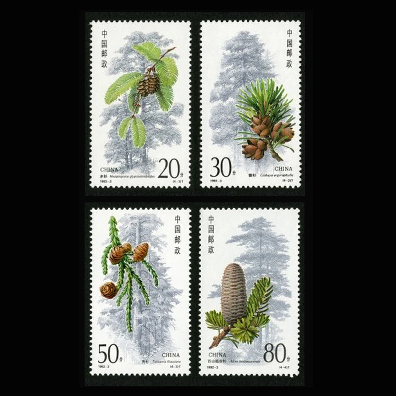 4 PCS / Set  Topic Plants China Fir Tree All New Postage Stamps For Collection