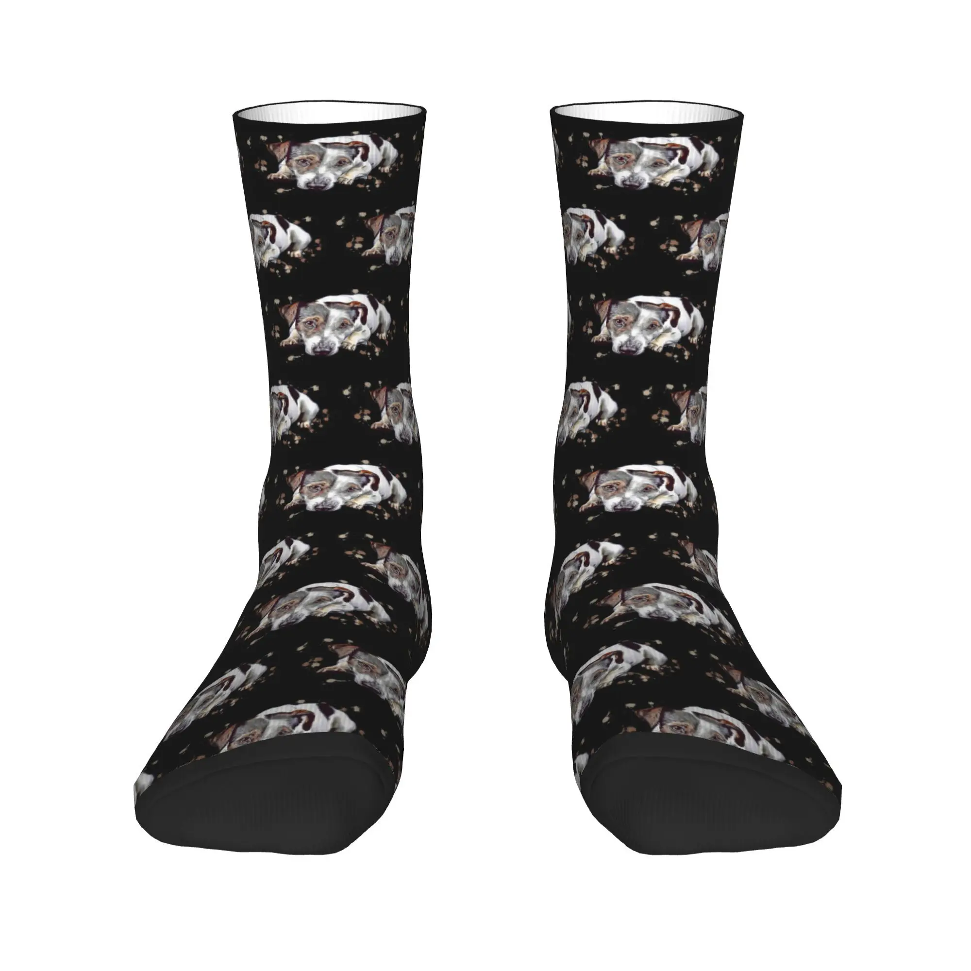 

Милый Джек Рассел-терьер, подарок для любителей собак, носки для мамы, Harajuku, супер мягкие чулки, всесезонные длинные носки, аксессуары для мужчин и женщин