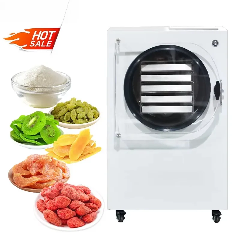 Small Freeze Dryer For Pet Food Fruits Vegetables Lyophilizer Machine Restaurant Home Lab