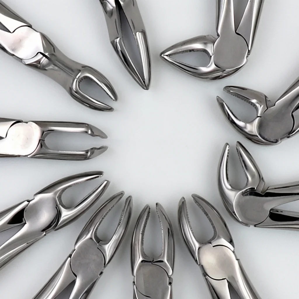 Dental Extraction Pliers Set, Stainless Steel Oral Instruments, 10pcs High Quality Dental Tools, Professional Tooth Pulling Kit