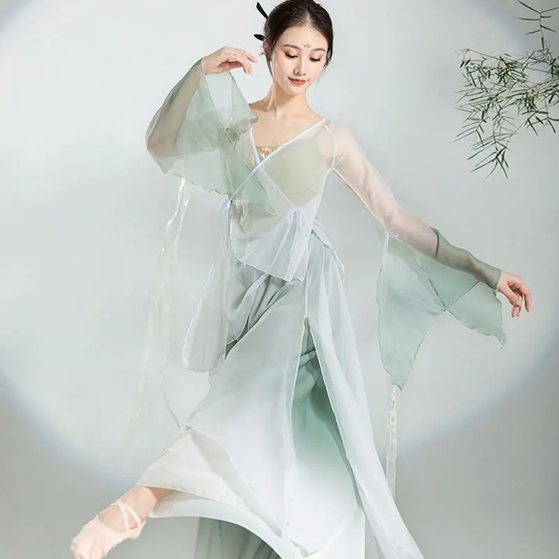 Chinese Stijl Volksdans Klassieke Danser Performance Kostuums Elegant Vest Praktijk Kleding Lichaam Rijm Lang Buitenste Gaas