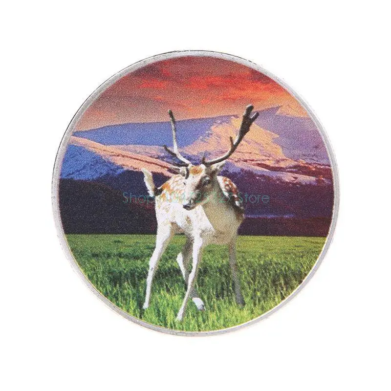 

African Wildlife Commemorative Elephant Souvenir Collectible for Home Decor, Travel & Craft Gifts