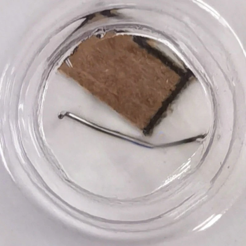 

Детали подходят для аксессуаров часового механизма, деталей рабочего механизма 317-16800, пружина 16800, пружина с крючком.