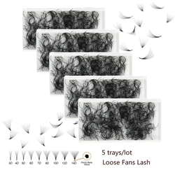 AGUUD 5 Trays/Lot Loose Fans 3D 5D 6D 8D 10D 12D 14D 16D Thin Pointy Base Premade Russia Volume Fans Lashes for Extensions Mink