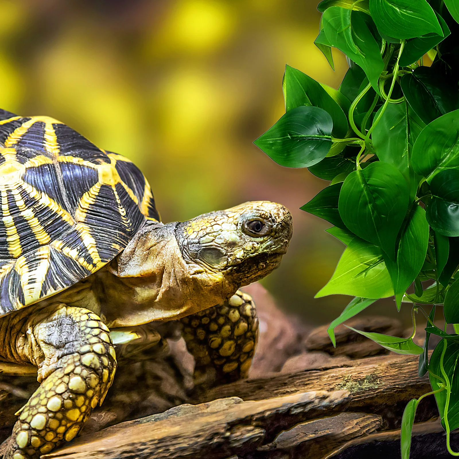 

2 Pcs Green Vine Leaves Bearded Dragon Tank Accessories 9 Forks Reptile Terrarium Decor Snake Tank Accessories Plastic Plants