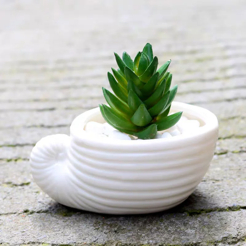 מיני פגז קונץ צורה עציץ סיליקון עובש diy אחסון דף הבית קישוט עובש מחסן jar נר