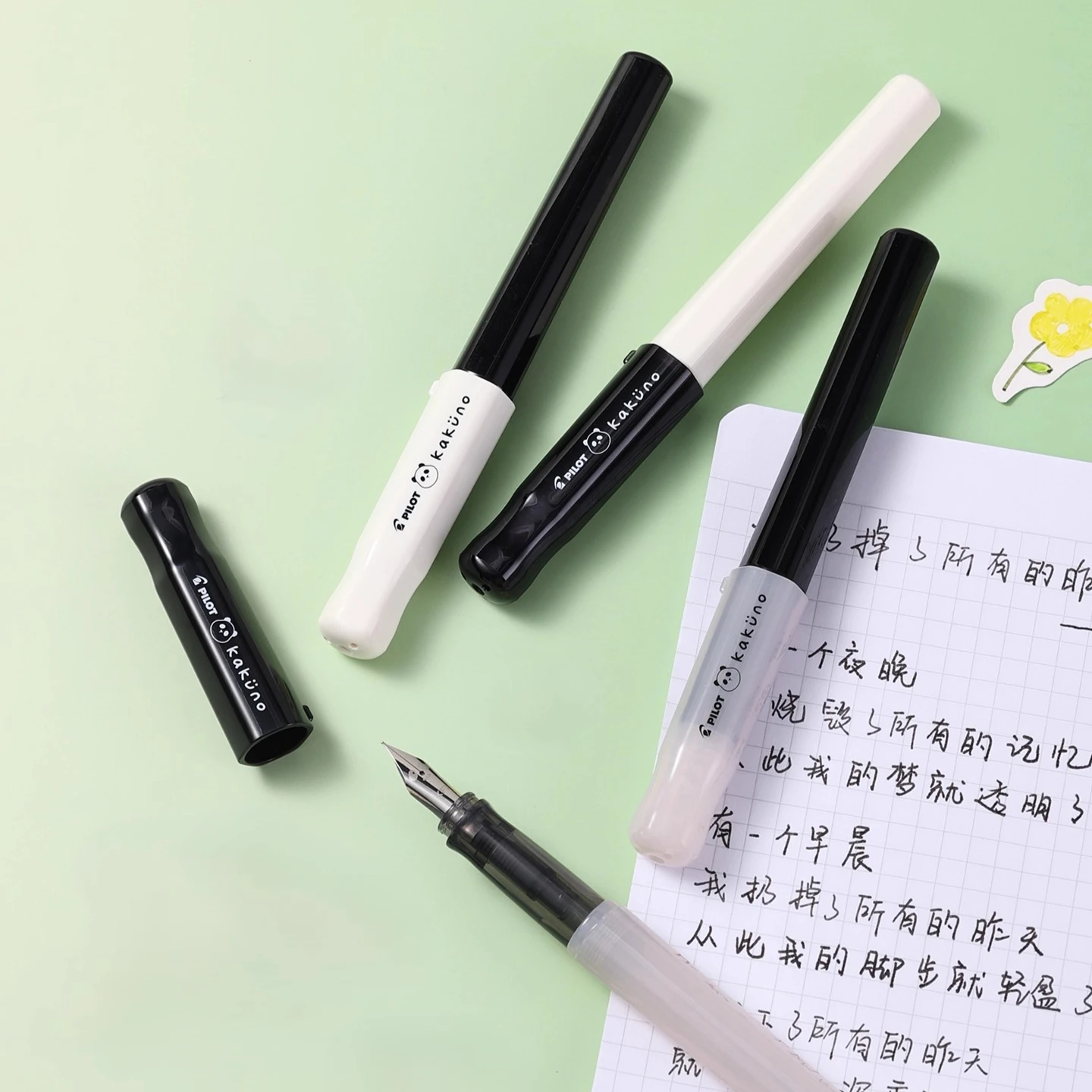 

Pilot Kakuno Panda Fountain Pen Limited Edition with Ink Black White Design Smiling Nib Student Gift Pen