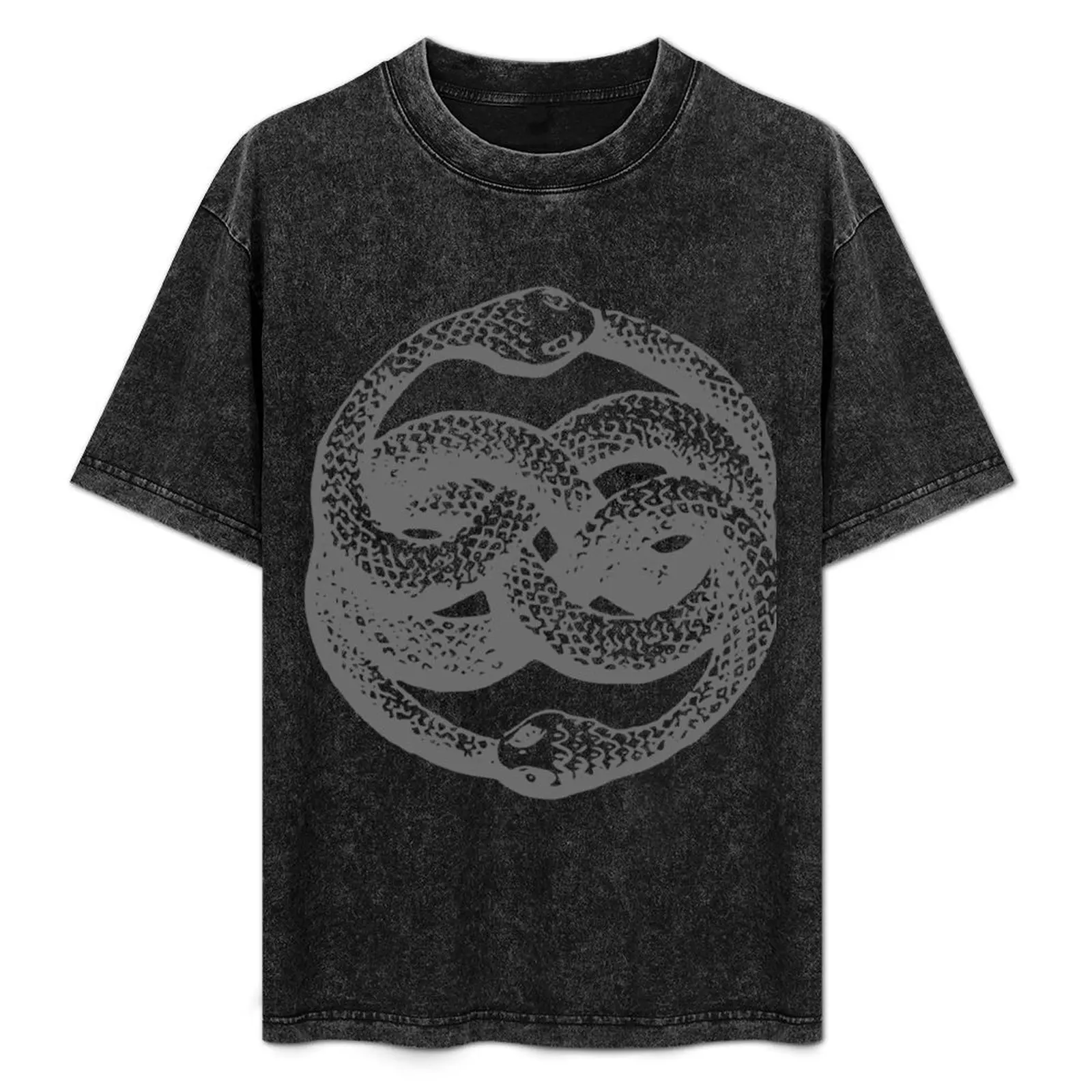 Camiseta Clássica Auryn