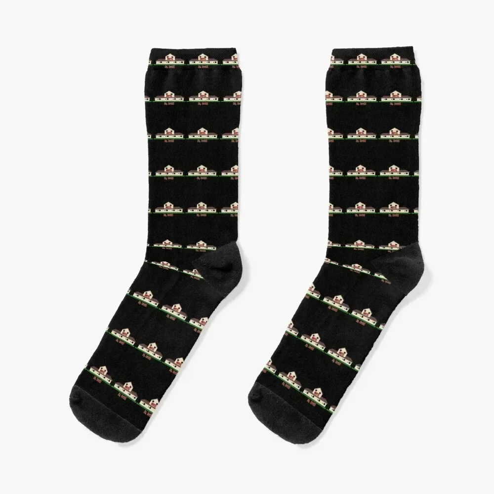 

Horrified by the Rosebud Motel! Socks cool Running christmas gift gift Designer Man Socks Women's