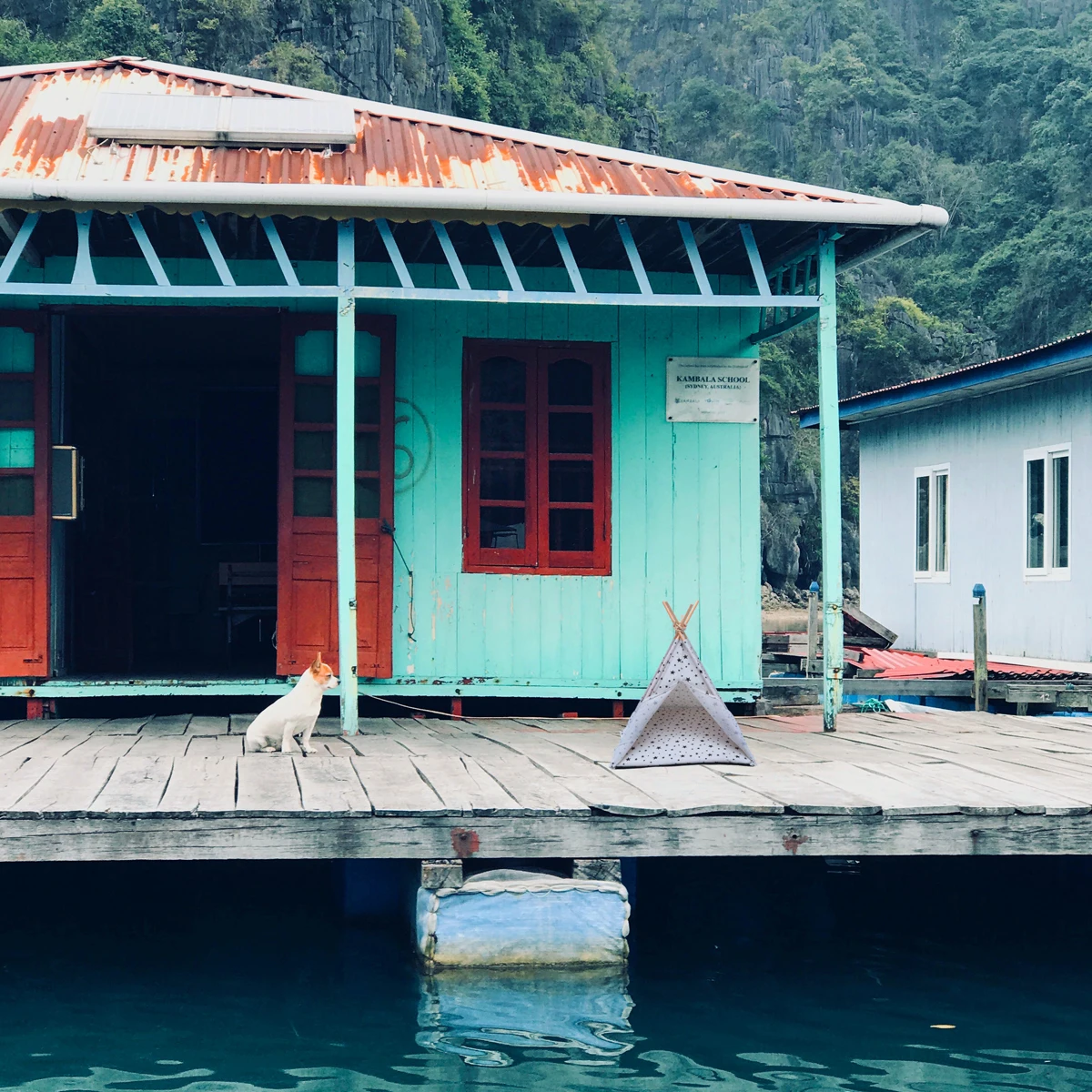 Haustier Zelt Hund Haus Tragbare Atmungsaktive Holz Mini Haustier Käfig Waschbar Anti Clip Tuch Kleine Welpen Indoor Spielzeug Käfig