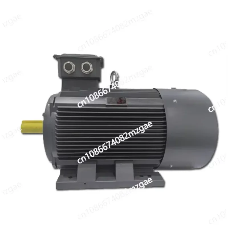 

Aeromagneto Direct Reluctance Synchronous Motor