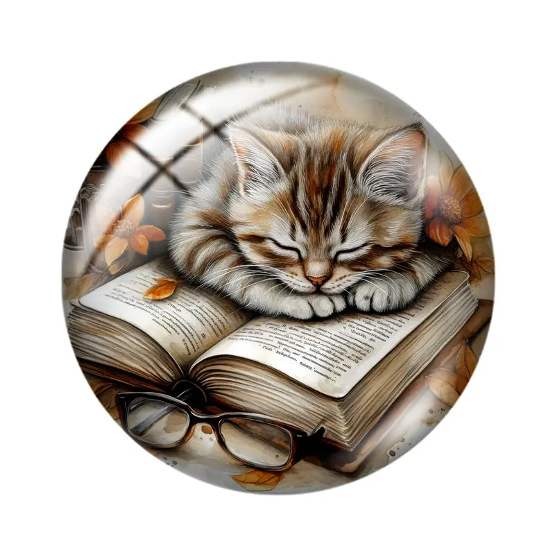 Cat Sleeping on Books 12mm/18mm/20mm/25mm Round Photo Glass Cabochon Demo Flat Back Making Findings