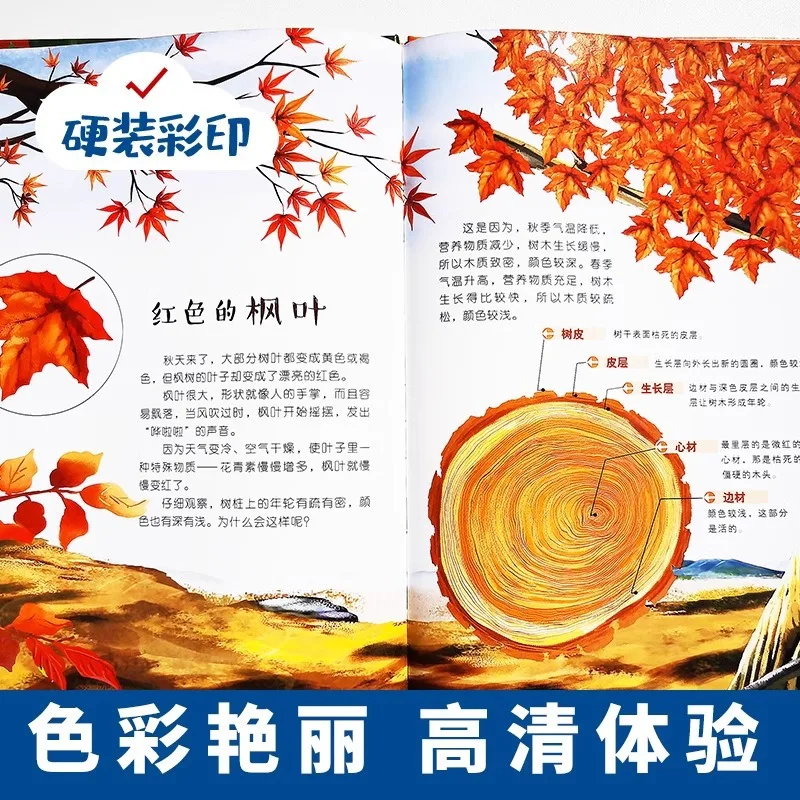 سلسلة أنا أحب الطبيعة، التنوير المعرفي للفصول الأربعة، تعميم علوم الأطفال والتعليم المبكر #3