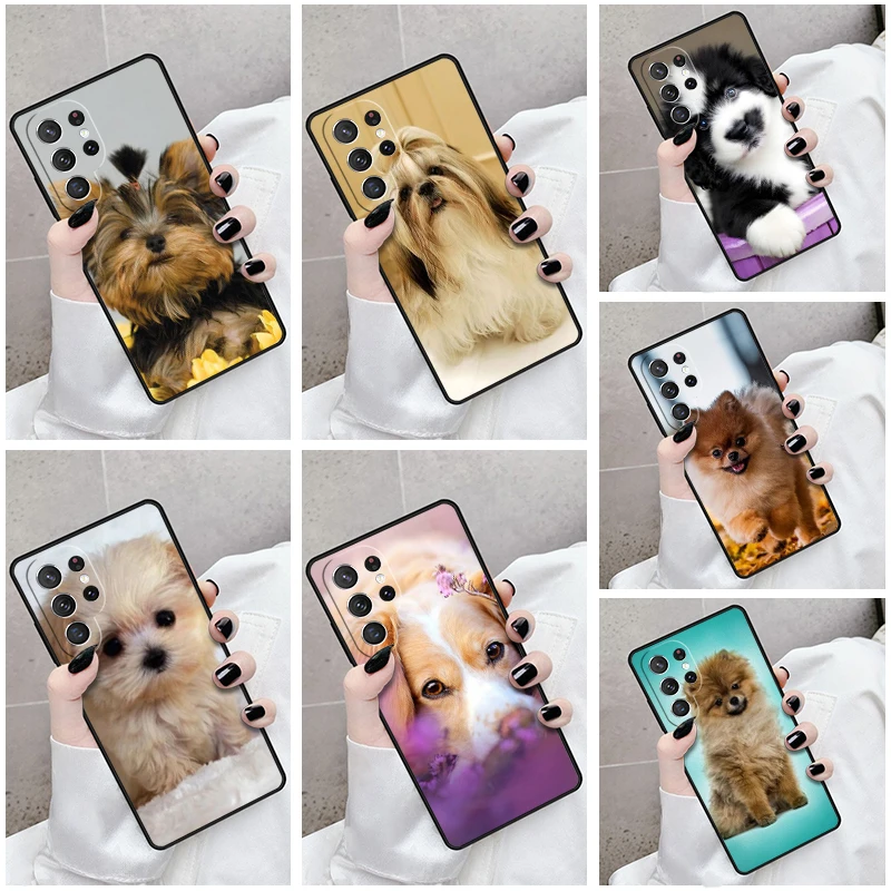

Phone Case For Samsung Galaxy S24 S23 S21fe S22 Ultra Plus Note 10 20 S8 S9 S10 Cover Cute Fluffy Puppy Canine Dog