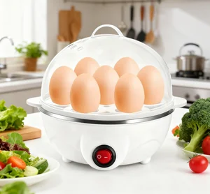 1-Person Mini Egg Cooker Automatic Power off Multi-Functional Steamed Egg Boiled Egg Maker for Breakfast Home Kitchen Appliance