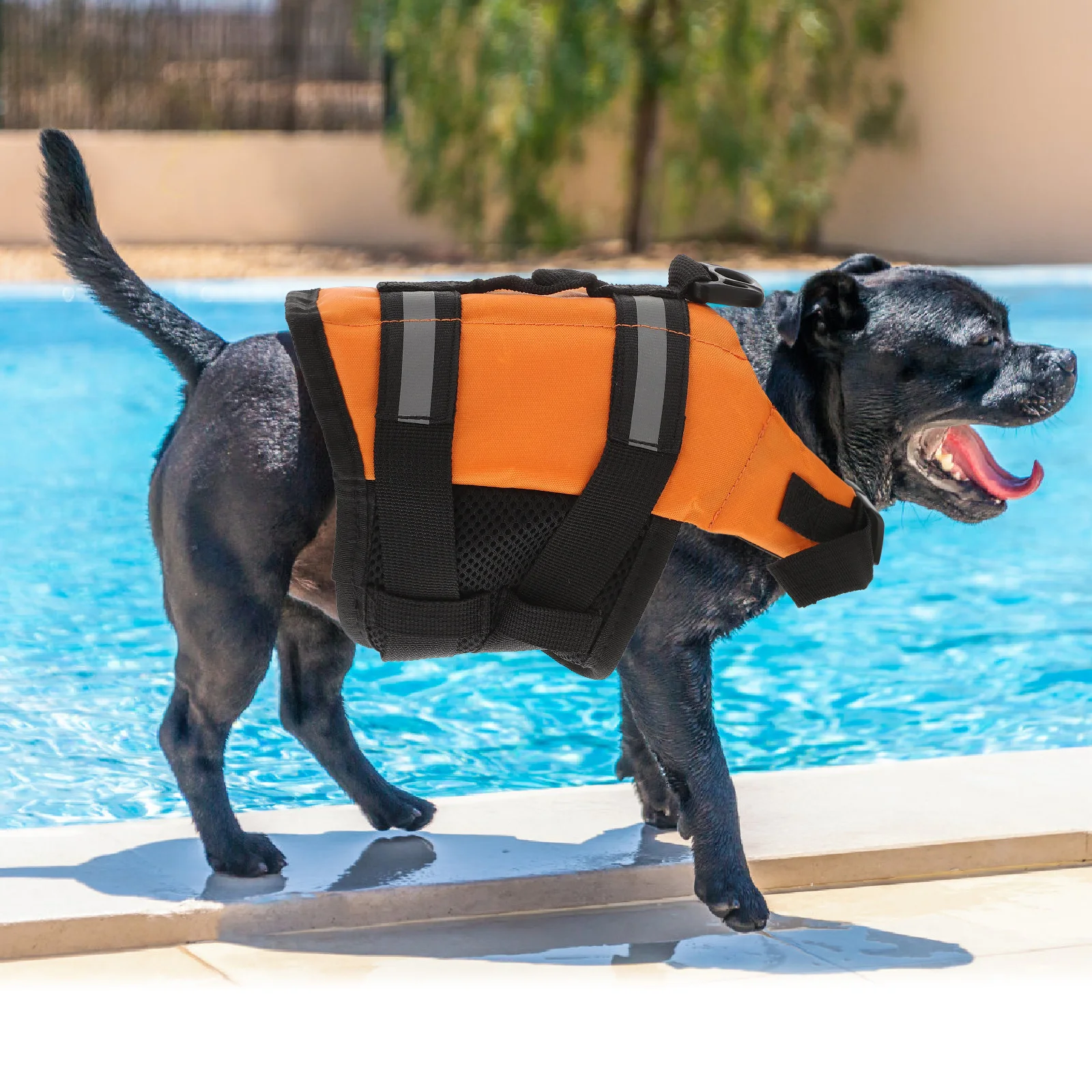 

Jacket Buoyant Pet Life Preserver Puppy Durable Quick Release Buckles D Ring Orange Xxs Size Beach Walking Pet