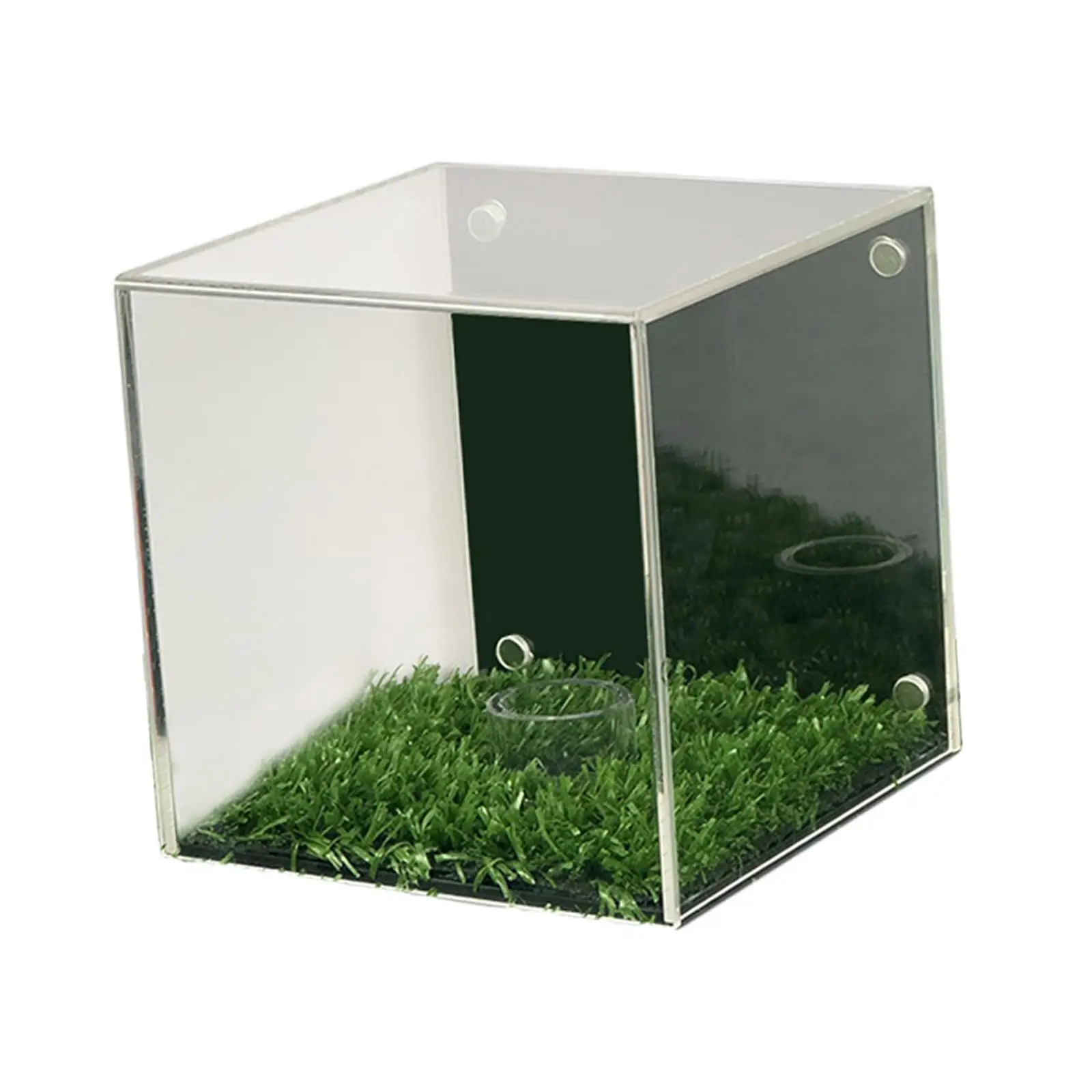 Acrylic Golf Ball Display Case with Magnetic Backing Clear Dustproof Transparent Holder for Baseball Souvenir Collection