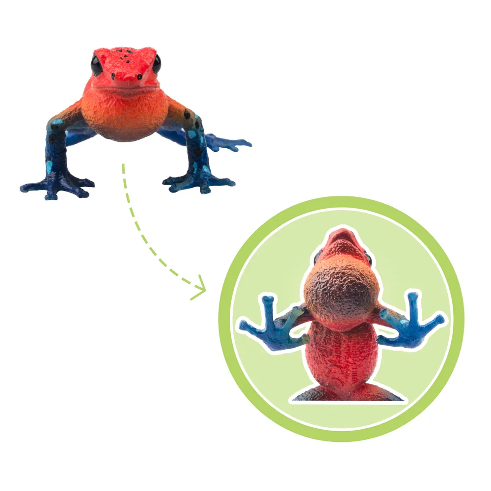 Toymany Simulation Strawberry Poison-Dart Frog Reptile Realm Animal Model Toy Mini Figures Dolls Action Figurines Toys Children