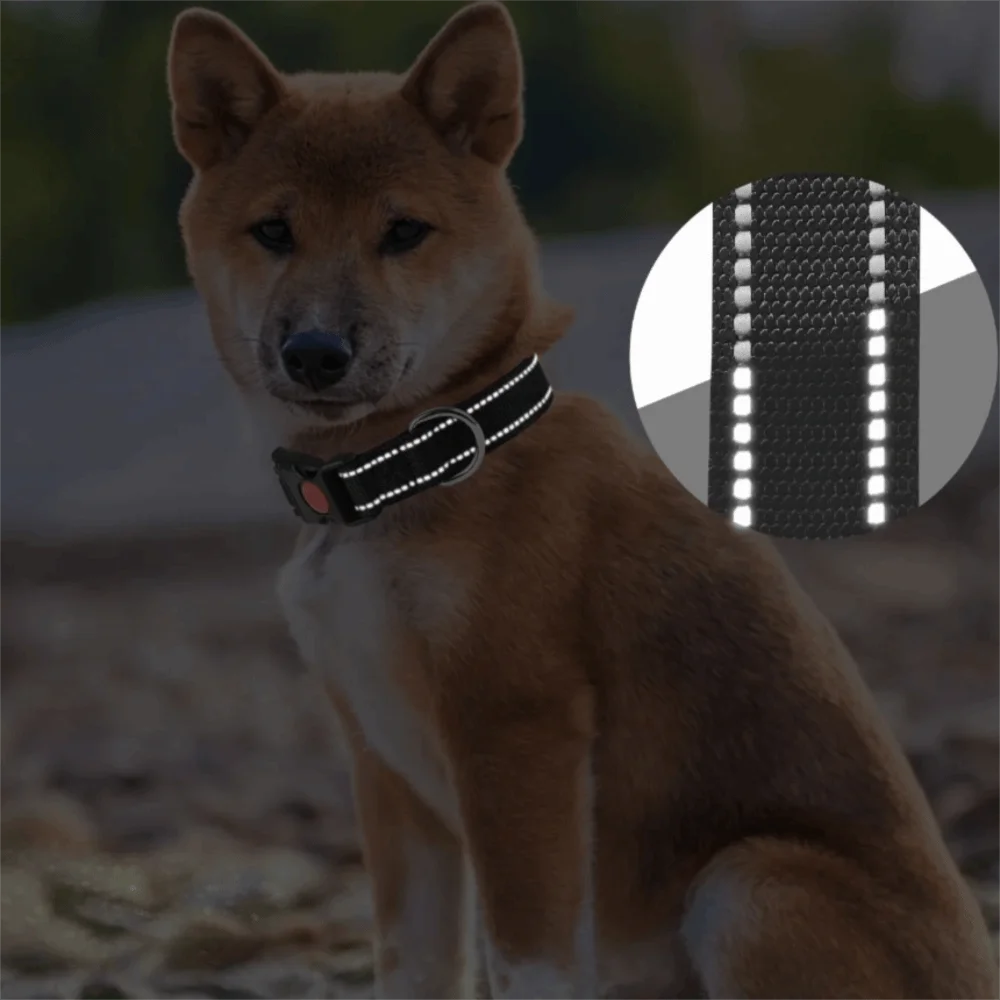 Adjustable Reflective Dog Collar Nylon Safety Buckle Pet Neck Strap Soft Breathable Pet Safety Collar Walking The Dog