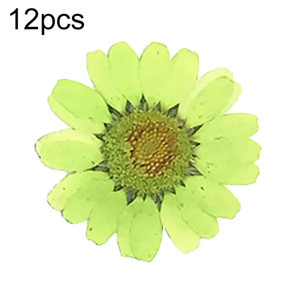 Natural Flower Epoxy Resin 12Pcs DIY Pressed Dried Nail Craft Phone Decoration