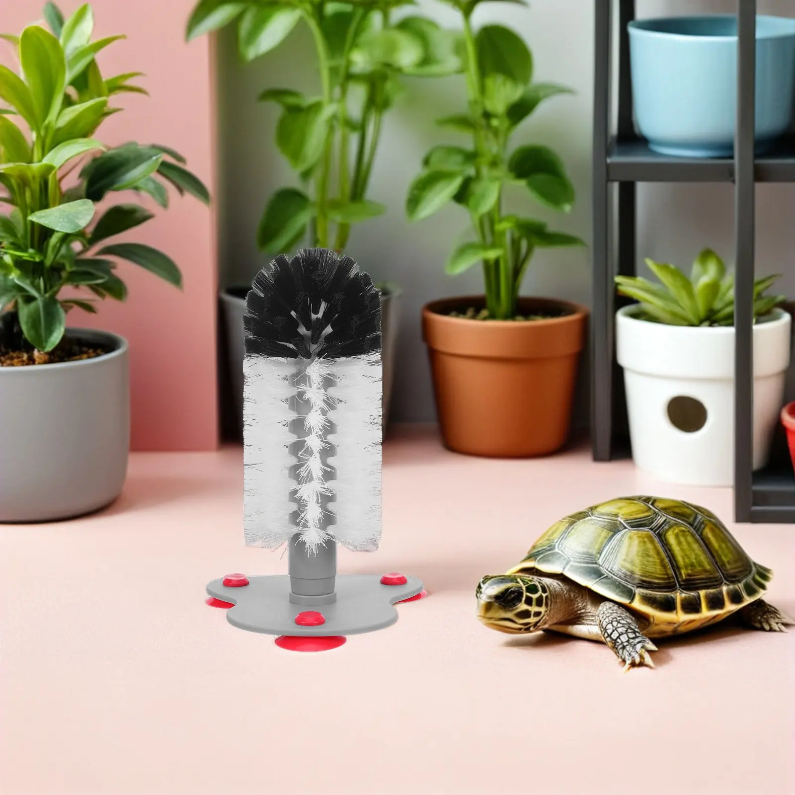 Tortoise Shell Cleaning Brush Suction Cup Aquarium Wall Mount Turtle Scratcher Polishing Brush for Turtles Iguanas Lizards