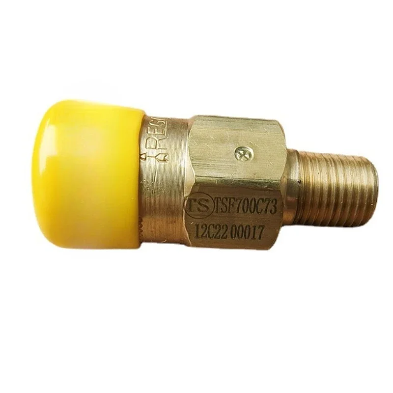 REGO Safety Valve 3127G Gas pipeline pressure relief valve release valve