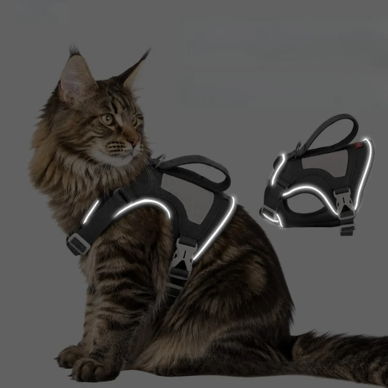 Tactical Cat Harness with 1.6m - No Pull Dog Harness review and price