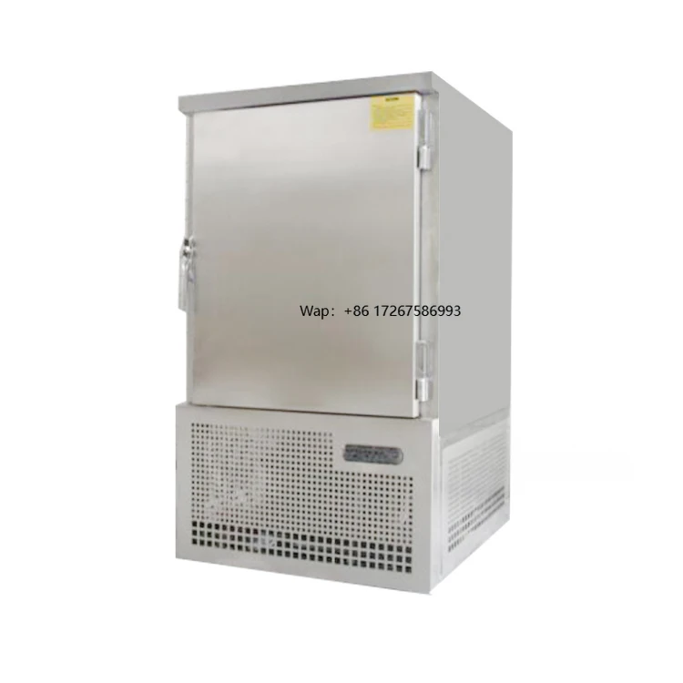 

Small iqf freezer iqf freezer for frozen potato french fries container blast freezer
