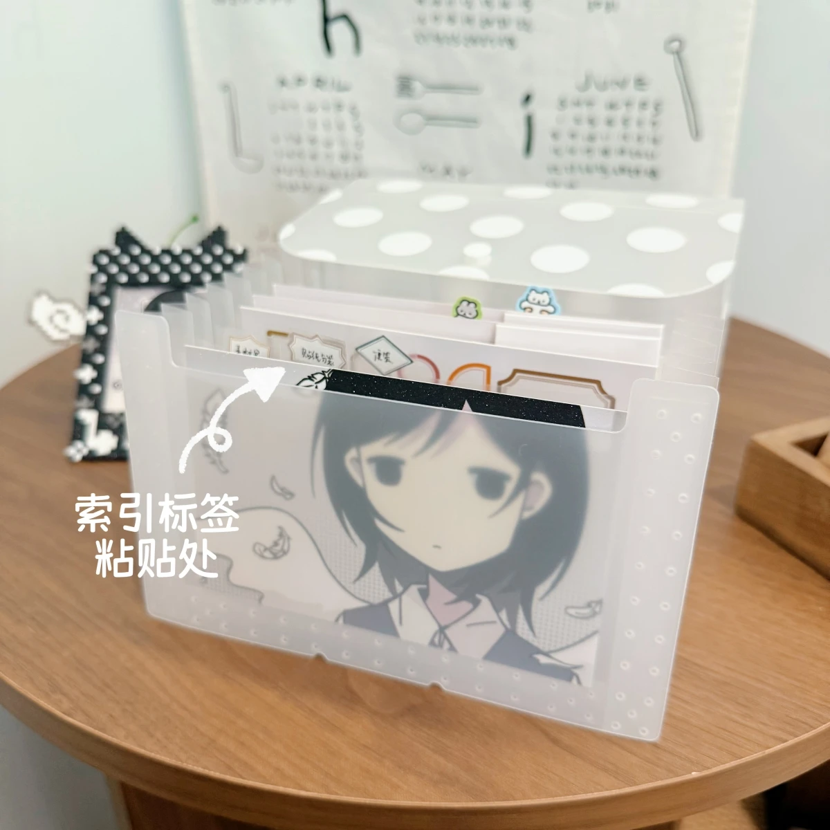 A6 아코디언 폴더 12포켓 확장 파일 정리함 대용량  - Document Organizer Folder 리뷰 및 가격