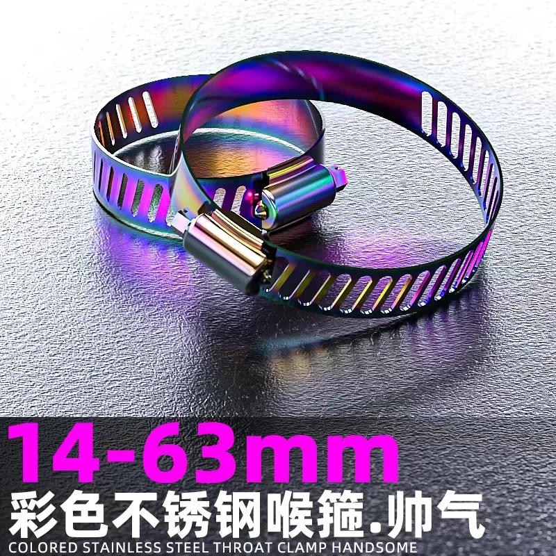 Color Rainbow Plated Worm Drive Hose Clamp Adjustable Pipe Clips Auto Motorbike Air Filter Fuel Line Water Tube Fastening Hoop