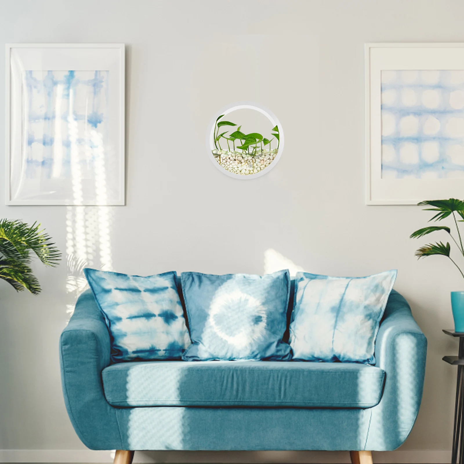 

Wall Mounted Hydroponic Planter Clear Round Hanging Indoor Plant Vase For Succulents Flowers Living Room Balcony Garden Decor