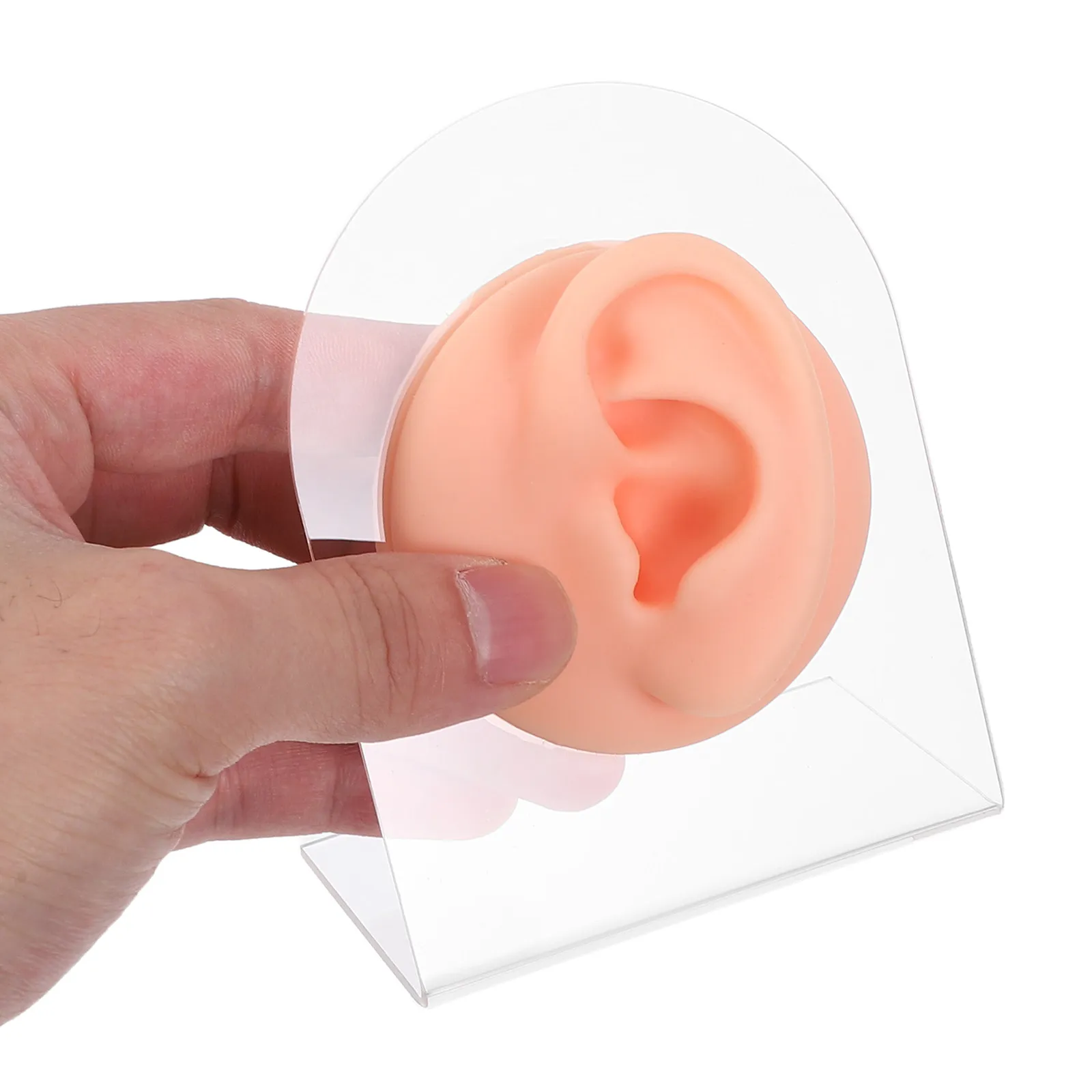 

Пара силиконовых манекенов ушей (левая и правая) для практики пирсинга, реалистичная модель части человеческого тела, акриловая подставка для демонстрации, учебный реквизит